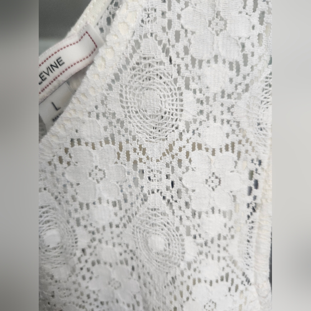 Adam Levine Collection Ivory Lace Dress - Picture 4 of 10